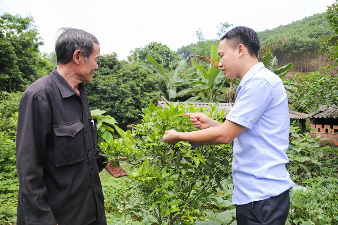Anh238.