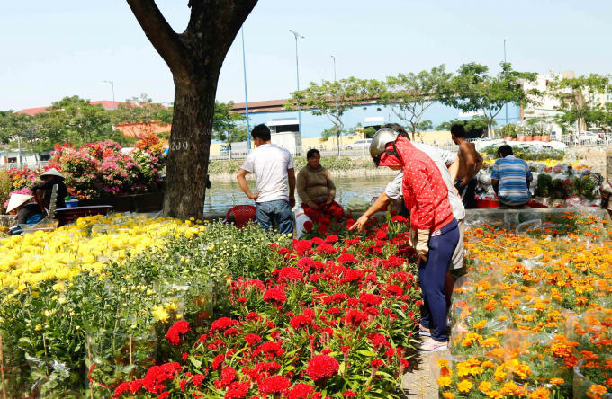 Những chậu hoa ấm áp như thời tiết phương Nam.