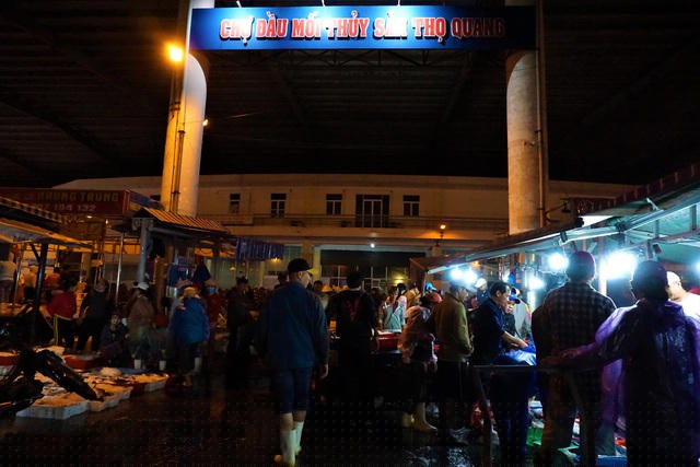 Trời càng về sáng, không khí làm việc trên bến càng khẩn trương. Hàng trăm con người vây quanh từng đống cá đủ loại, nhanh tay phân loại cá, cân ký, cắt đầu, bốc lên xe… Công việc của họ dường như là một vòng quay bất tận, một đêm không ngủ để mưu sinh trên cảng cá Thọ Quang cứ hối hả trôi đi hằng ngày như thế.