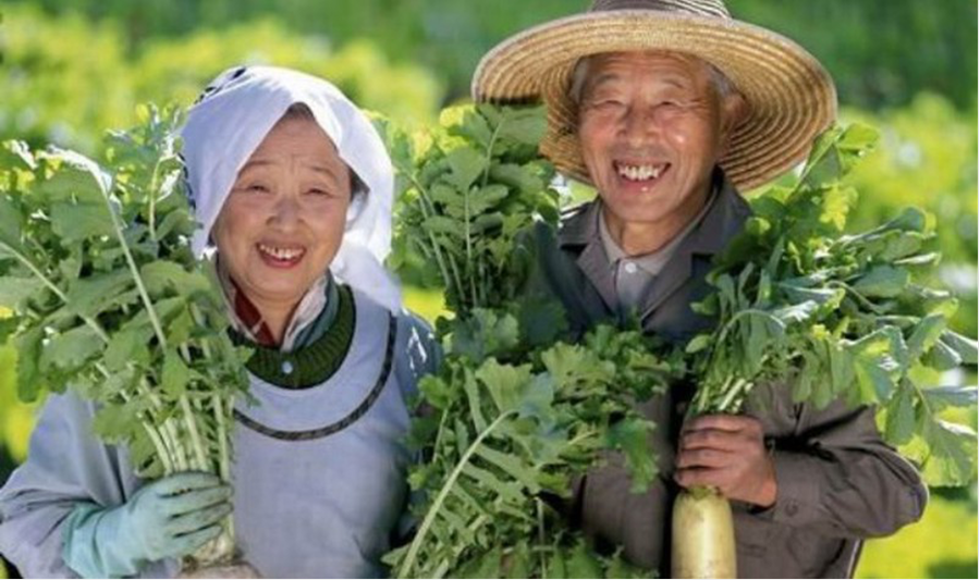 Sống, vận động hàng ngày giữa thiên nhiên và “xả sạch” trước khi đi ngủ là bí quyết sống thọ của người dân vùng đất Blue Zones.