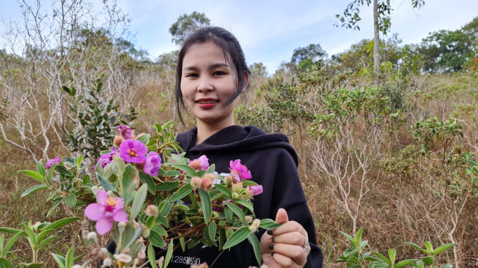 Bất kỳ ai cũng không thể cưỡng lại được vẻ đẹp bình dị nhưng vô cùng mãnh liệt của loài hoa lặng lẽ này.