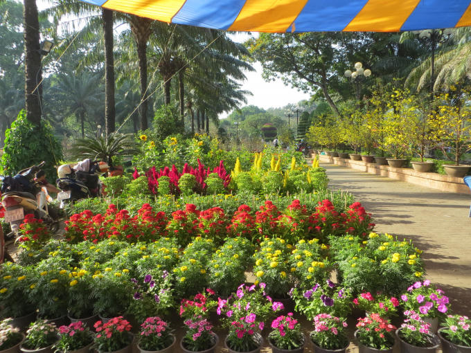 Đa dạng các loại hoa mai, hoa cúc, hướng dương,… tràn đầy sắc xuân.