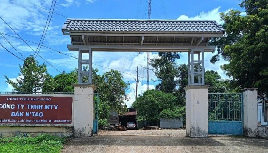 Trụ sở Công ty Lâm nghiệp Đắk N'tao. Ảnh: Hải Dương