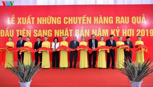 Thủ tướng dự Lễ xuất những chuyến hàng rau quả đầu tiên sang Nhật Bản trong năm Kỷ Hợi 2019.