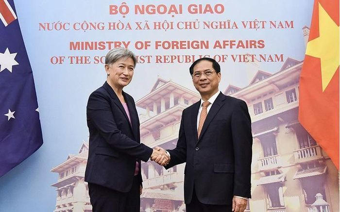 5c24d493fdde14804dcf