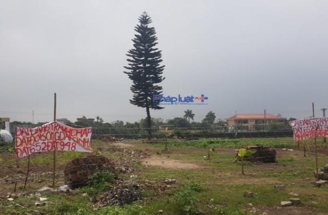 Thái Bình: Vì sao chủ đầu tư vội vàng tạm dừng đấu giá khu dân cư thôn Phú Xuân