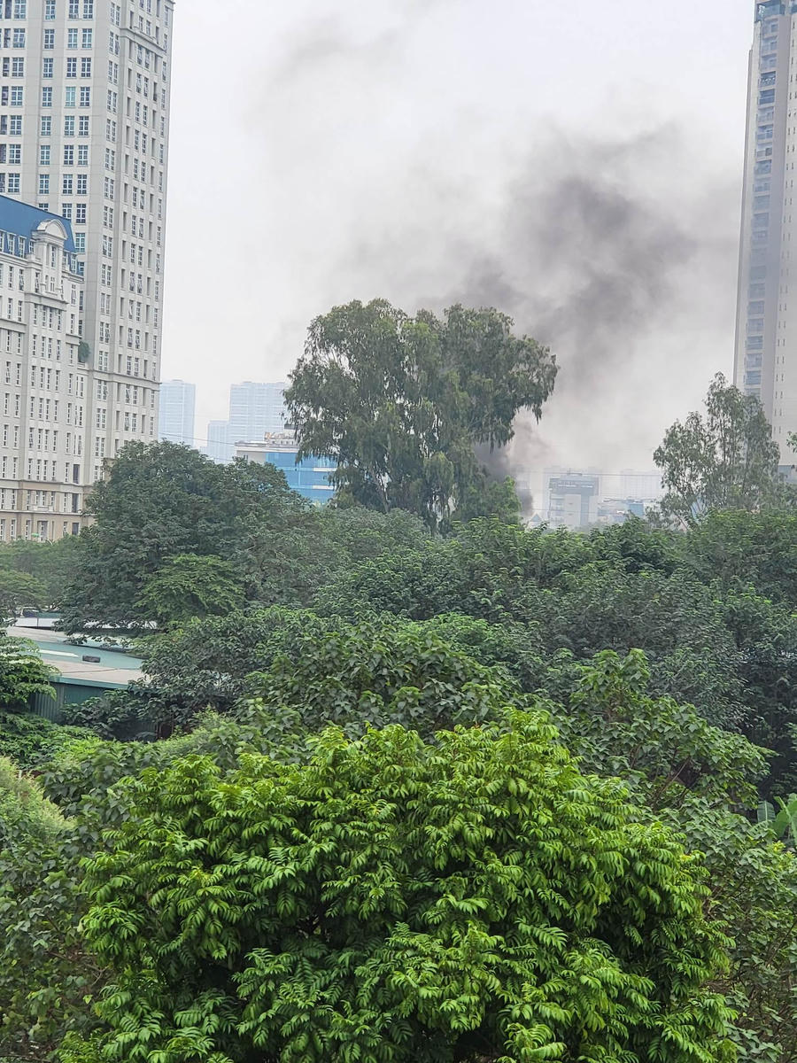 318655688_530084428998850_7929008646598216750_n