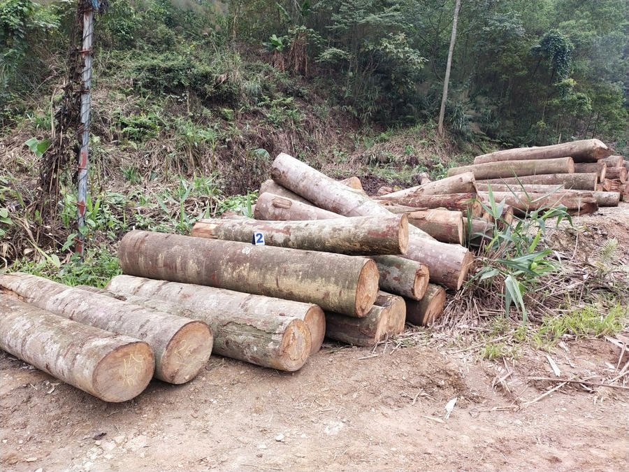 z4251797634387_e9d36bd6dcfe26319c4bb937fa4200a8