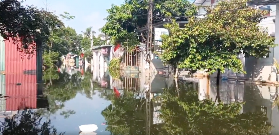 Mênh mông sóng nước tại các ngõ xóm.
