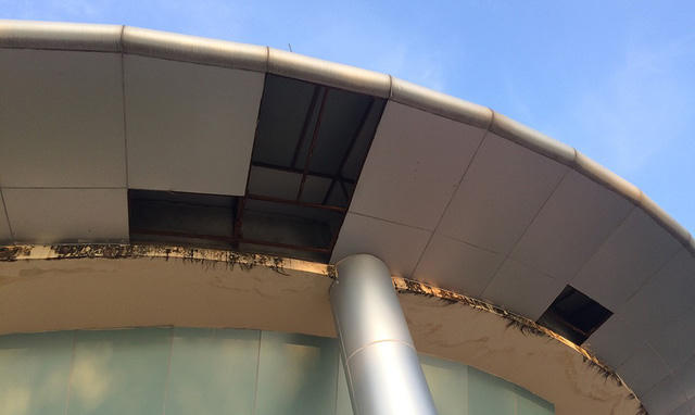 Trần công trình nhà cười bị bung tấm ghép.