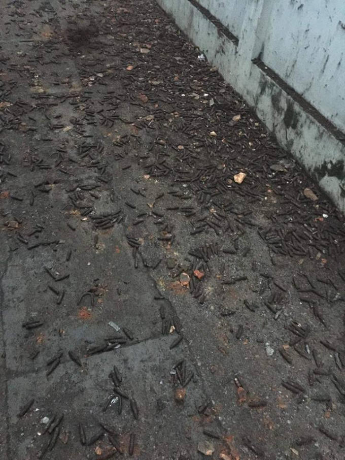 Ảnh Facebook Lê Minh Đức.