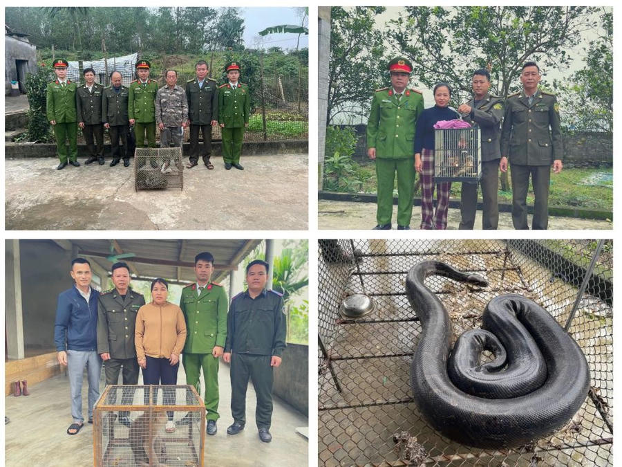 Vận động người dâng giao nộp động vật hoang dã - Ảnh Công an Hà Tĩnh.