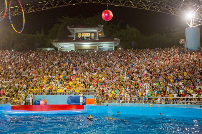 Các tiết mục biểu diễn giữa các nghệ sĩ với cá heo thu hút đông đảo du khách, đặc biệt là các em nhỏ.