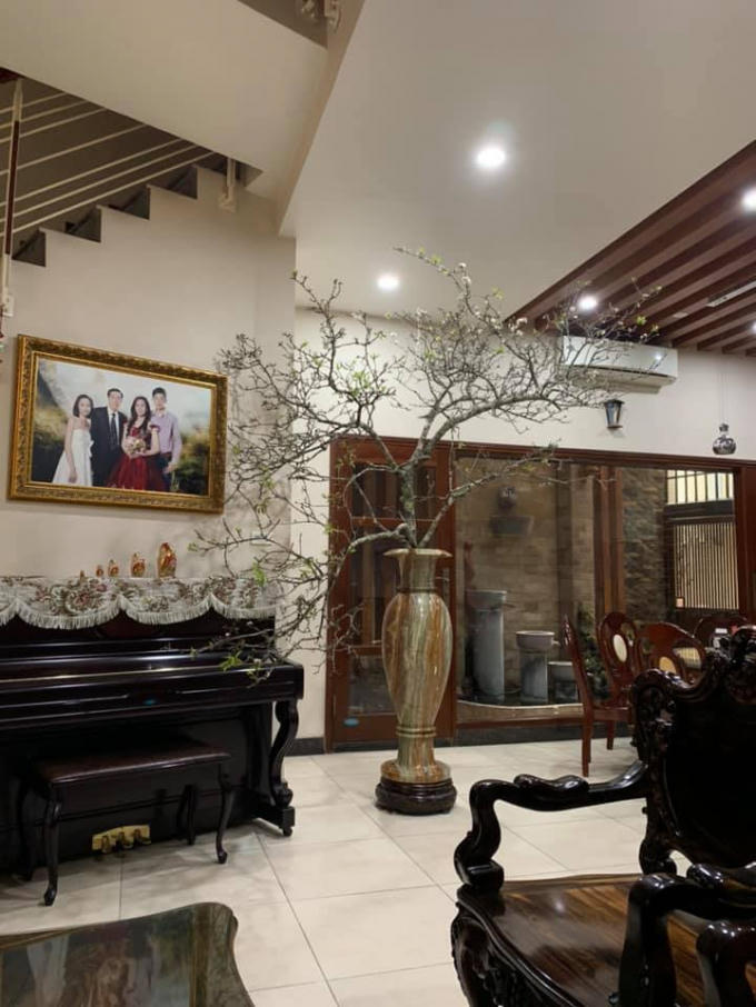 Cây mận này có giá cả chục triệu đồng, được gia chủ mua về trưngTết.