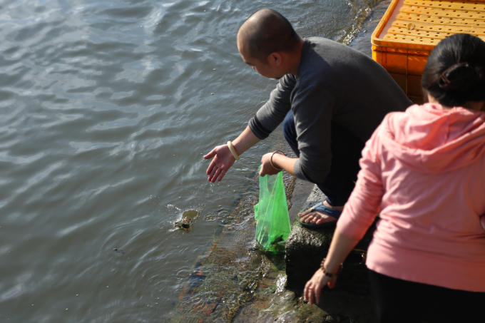 Được thả nhẹ nhàng