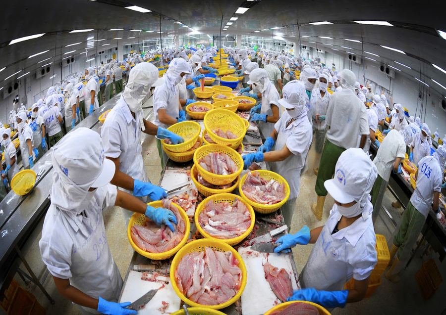 Xuất khẩu thủy sản 2025 hướng tới mốc 11 tỷ USD. (Ảnh: IT).