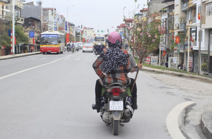 Những cành đào sớm đã được mang về nhà.