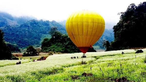 Lễ hội khinh khí cầu ở Mộc Châu. Ảnh: Moc Chau Ballooning.