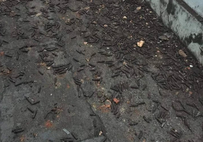 Rất nhiều đầu đạn vung vãi khắp nơi sau vụ nổ kinh hoàng.