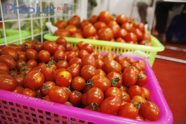 Những nông sản thực phẩm an toàn và đặc sản Bắc Bộ được bày tại các gian hàng.