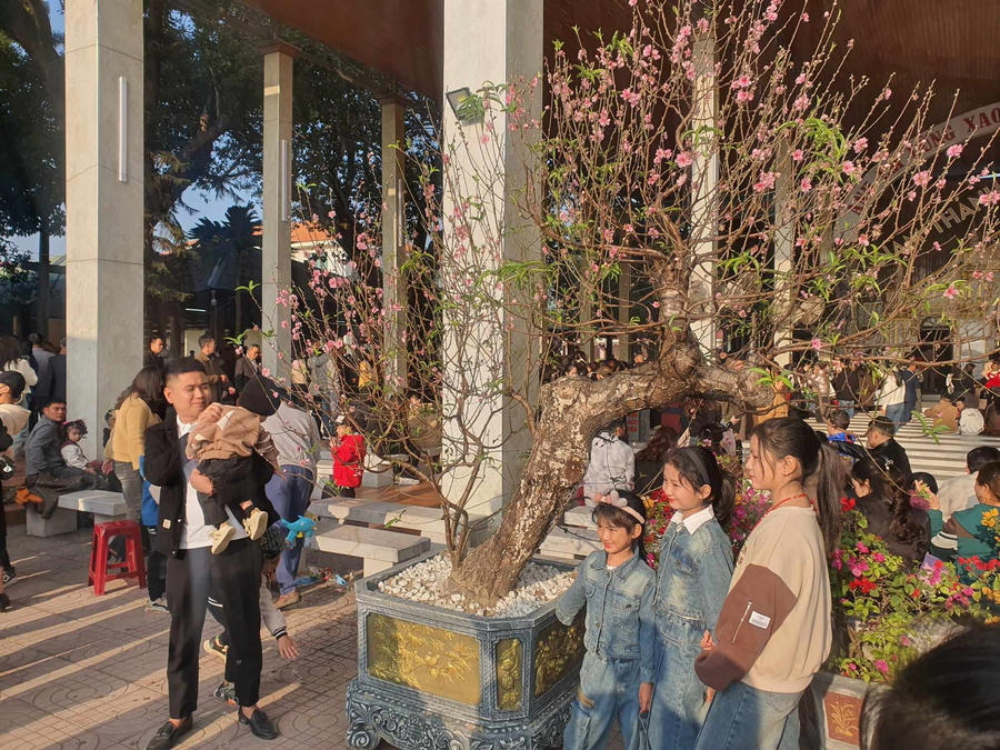 Tranh thủ ghi lại một số hình ảnh đẹp tại Thánh Địa Trại Gáo.