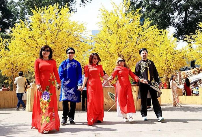 Khách quốc tế trải nghiệm không gian mai vàng đất phương Nam ngày 29 Tết. (Ảnh: Hồng Đạt/TTXVN)