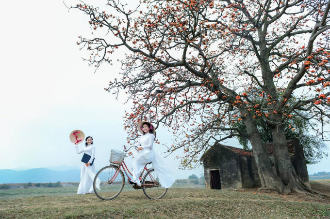 Khi cái rét nàng Bân sắp đến làm tê tái lòng người cùng những đợt mưa bụi giăng trắng trời qua đi cũng là lúc những chùm hoa gạo bung nở, đỏ rực như những đóm lửa khổng lồ nơi làng quê Việt.
