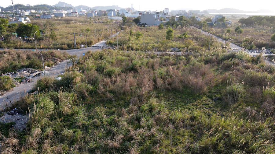 Cỏ mọc um tùm trong các dự án khu đô thị từng sốt hầm hập ở Quảng Ninh - 15