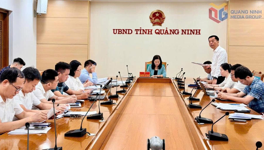UBND tỉnh Quảng Ninh tổ chức cuộc họp triển khai kế hoạch kích cầu du lịch quý IV/2025