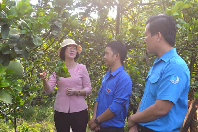 Phó Chủ tịch UBND tỉnh Bình Phước Trần Tuyết Minh (bìa trái) và Phó Bí thư Tỉnh Đoàn Trần Hoàng Trực (bìa phải) thăm mô hình trồng bưởi da xanh của đoàn viên Nguyễn Huy Đông, xã Long Giang, TX. Phước Long