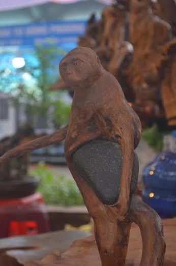 Khỉ gỗ ôm.