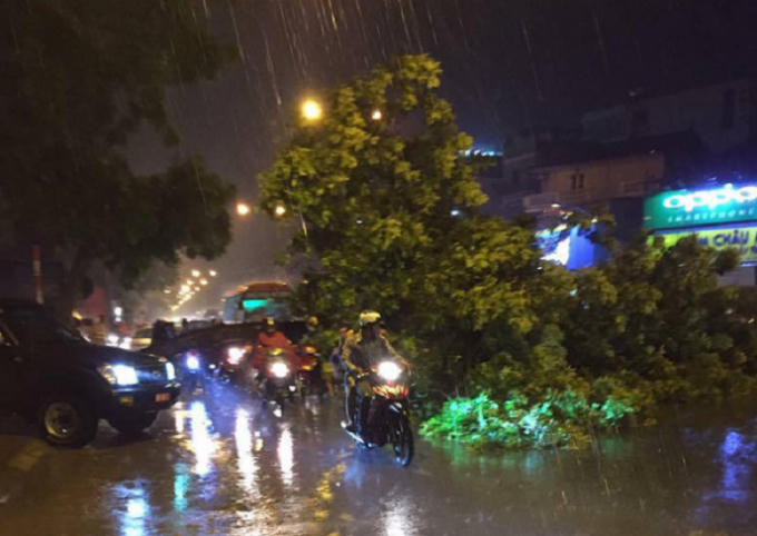 C&acirc;y x&agrave; cừ đổ gẫy, chắn ngang đường Phạm Văn Đồng.