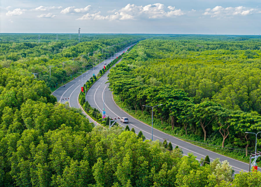 Rừng phòng hộ Cần Giờ.