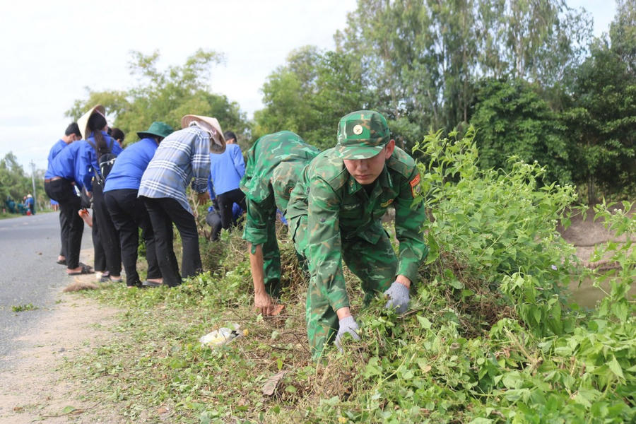 Phát quang, vệ sinh môi trường