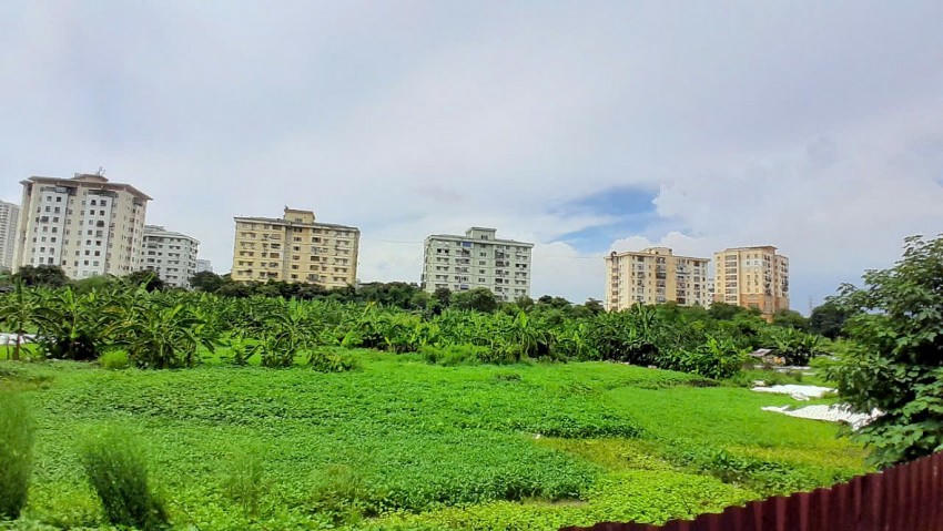 Ghi nhận của Phóng viên, hiện dự án bỏ hoang, cỏ mọc um tùm, người dân tận dụng canh tác rau màu.