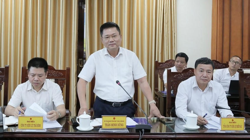 Ông Trần Minh Dũng, Phó tổng Công ty Điện lực miền Bắc tại buổi làm việc với tỉnh Thái Bình.