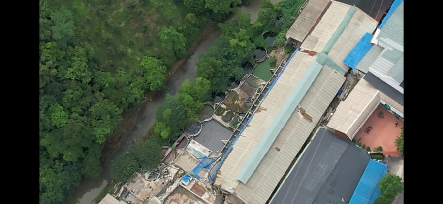 Nước ở đoạn suối Khởi Luông sát phía sau nhà máy không trong như suối bình thường