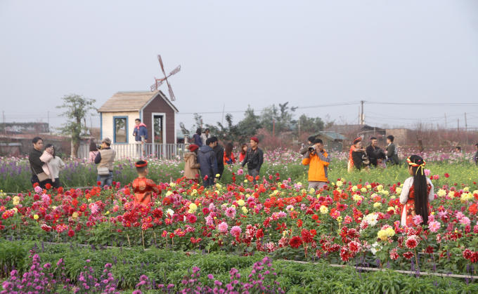 Đến vườn đ&agrave;o Nhật T&acirc;n dịp cuối năm