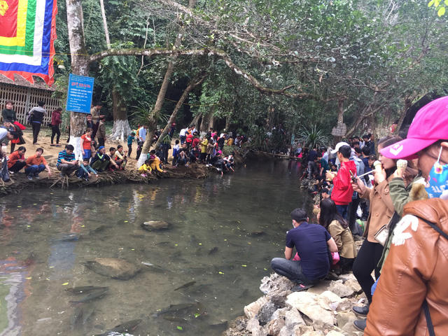 Phía ngoài suối cá đã kín người...