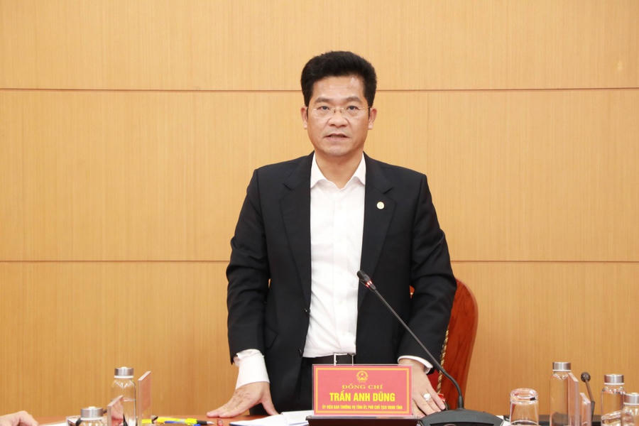 Ông Trần Anh Dũng, Phó Chủ tịch UBND tỉnh, Trưởng Ban Chỉ đạo phòng, chống dịch bệnh động vật tỉnh phát biểu chỉ đạo tại phiên họp.