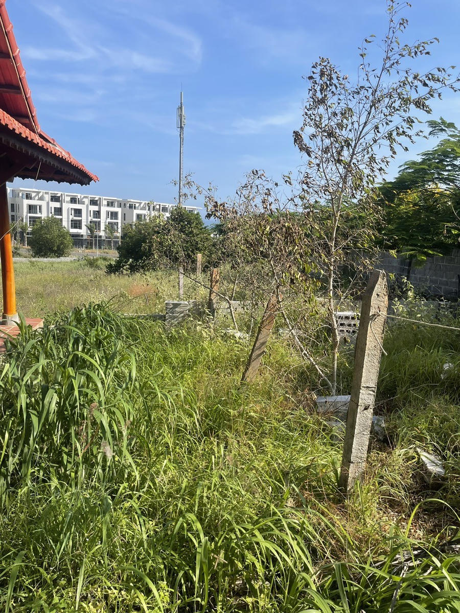 Hiện trường vụ án, khi khởi tố vụ án thì bức tường không còn, thời điểm tháo dỡ bức tường cũng không xác định được chính xác.