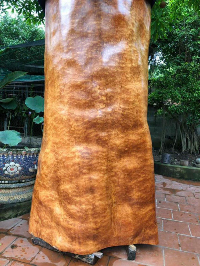 Gỗ nu có hoa văn tự nhiên rất đẹp