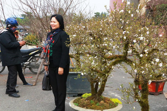 Nhiều người thích thú chụp ảnh với những chậu mai trắng.