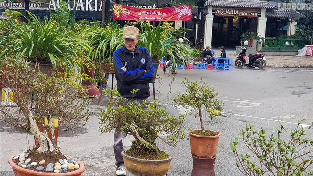 Anh Nguyễn Văn Minh (Phú Đô – Nam Tư Liêm – Hà Nội) cho biết: “Hôm nay hội chợ, tôi đi qua thấy cây cảnh nên rẽ vào ngắm. Loài cây này đẹp quá, mấy trăm tuổi vẫn nở hoa. Người trồng ra được những cây này thì thật sự giá trị”.