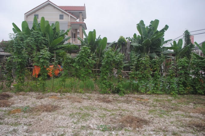 Người dân tận dụng mặt tiền Di chỉ khảo cổ học trồng rau (ảnh Duy Ngợi).