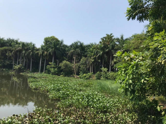 71645190_1442463625905828_4186095364014604288_n