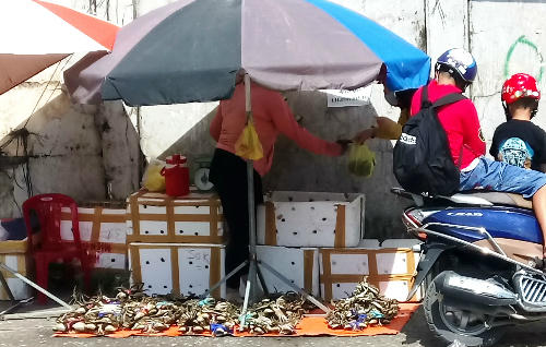 Cua gắn mác "Cà Mau" đổ đống ở vỉa hè. Ảnh: Hồng Châu.