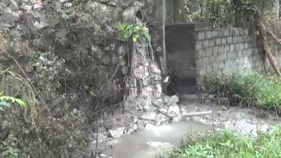 Cty Nha Việt xả thải gây ô nhiễm môi trường.