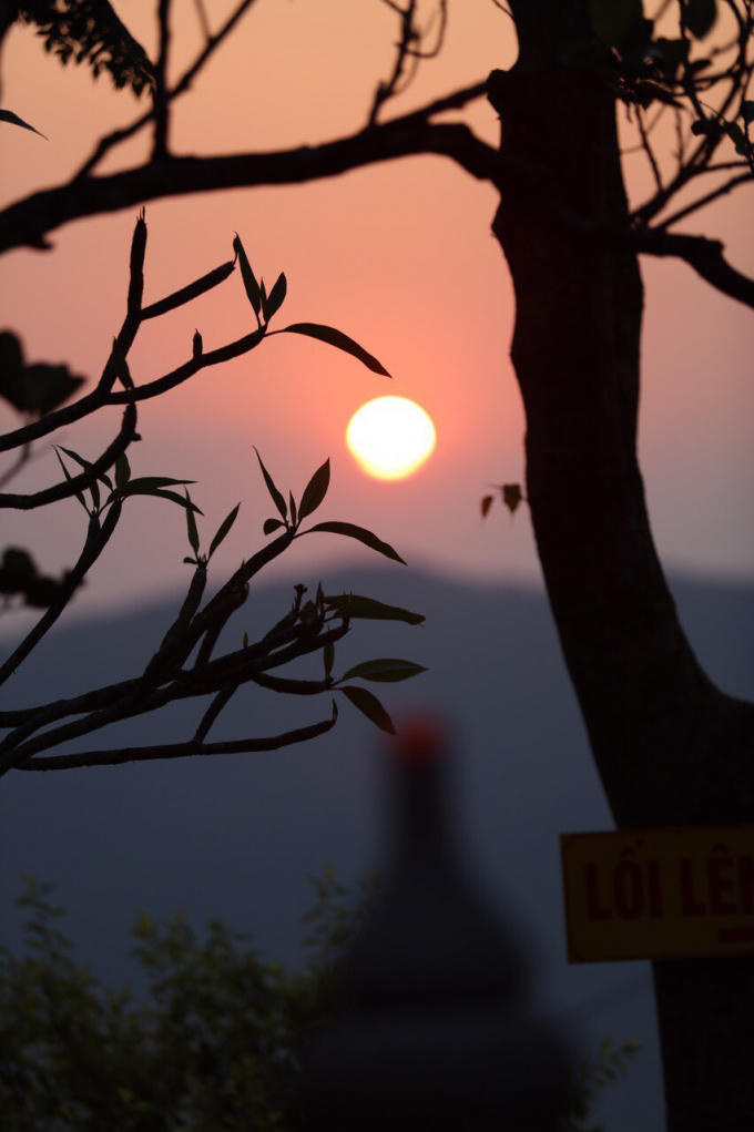 Vẻ đẹp thanh tịnh...