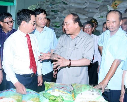 Thủ tướng Nguyễn Xuân Phúc khảo sát thực tế mô hình tái cơ cấu ngành nông nghiệp tại Tổng Công ty giống cây trồng Thái Bình tại thành phố Thái Bình. Ảnh: Thống Nhất/TTXVN.